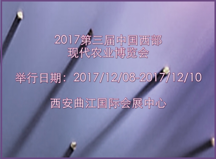 博覽會(huì)